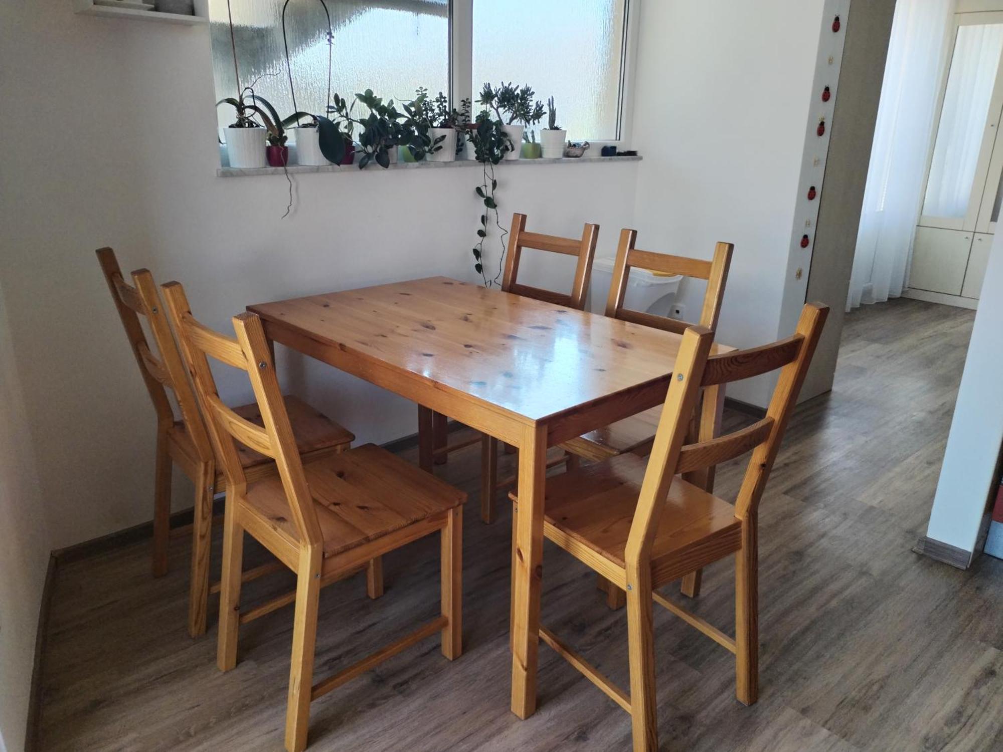 Family Apartment B&B บีโอกราดนาโมรู ภายนอก รูปภาพ